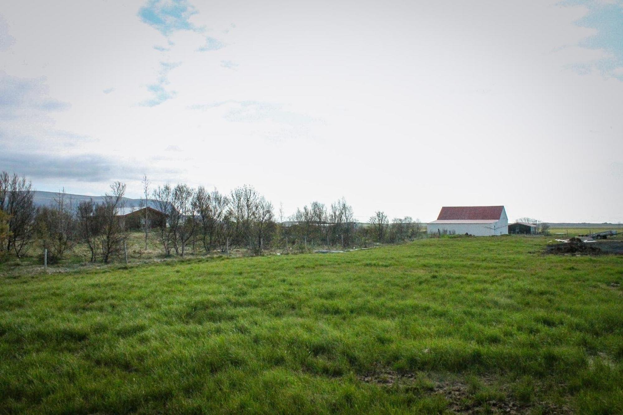 Sun-Cottage South Iceland Olfus Экстерьер фото